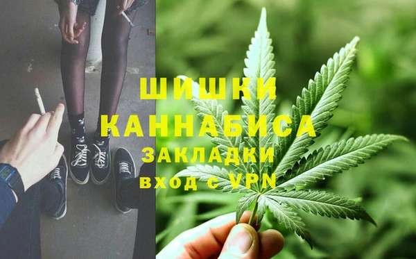 стафф Надым