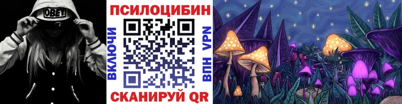 Купить где  Лангепас  Галлюциногенные грибы Psilocybine cubensis 